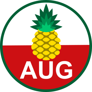 Tippfoot-Teamabzeichen AUG mit Ananas-Symbol